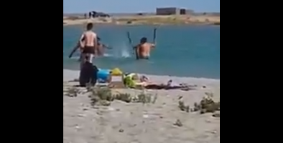 Golpearon a una foca en manada para que sus hijos se saquen fotos con ella