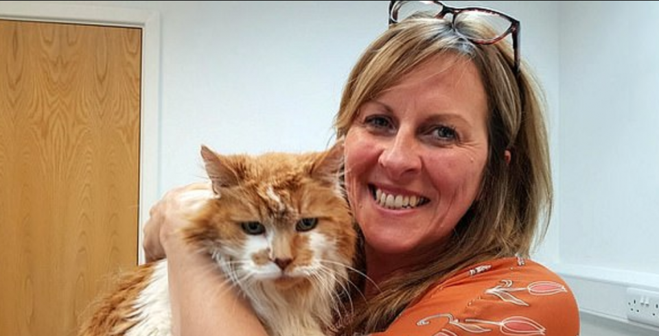 Murió el gato “más viejo del mundo” a los 31 años (150 años humanos)
