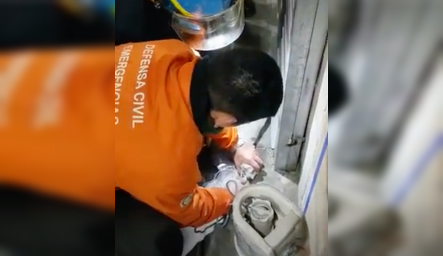 Reanimaron a un gato con oxígeno tras rescatarlo de un incendio