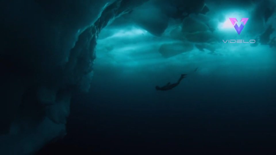 Un fotógrafo se sumergió en las aguas heladas y develó un increíble misterio sobre los icebergs