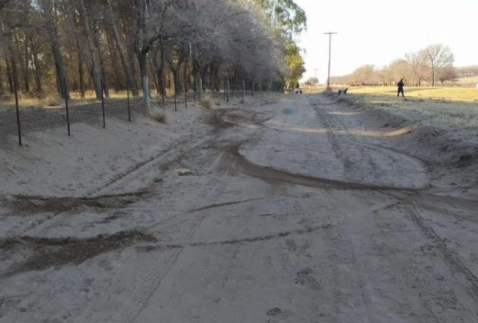 Un hombre atropelló a un perro con su auto hasta matarlo