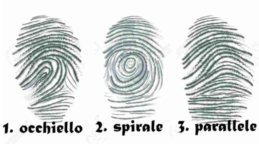 ¿Cómo es tu huella digital?, el test visual revela datos pocos conocidos de tu carácter