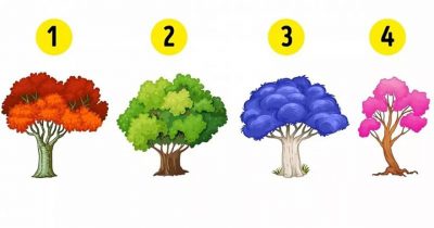 “¿Cuál árbol elegís?”: el test de personalidad que revelará la emoción que mejor te representa