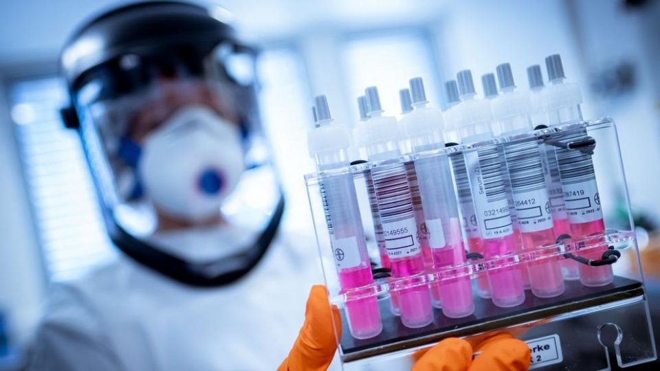 Coronavirus: la universidad de Oxford aseguró que su vacuna es efectiva y genera anticuerpos