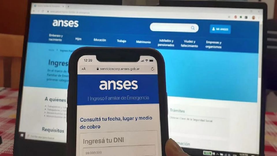 ANSES: quiénes cobran IFE, AUH y Tarjeta Alimentar este viernes 14 de agosto