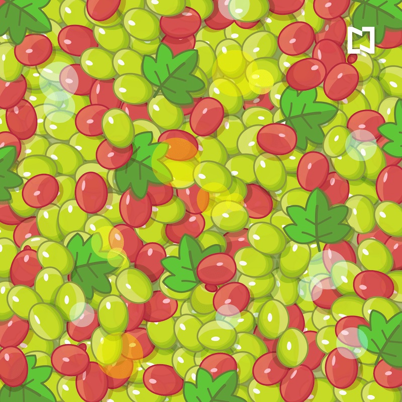 Reto visual: buscá las aceitunas escondidas (profundamente) entre las uvas