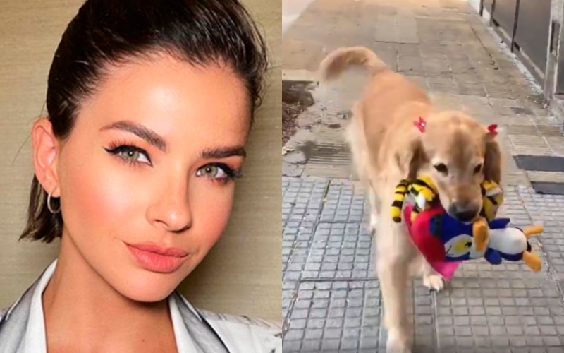 La China Suárez, cautivada por una perra que pasea con peluches: “Te abrazaré con barbijo”