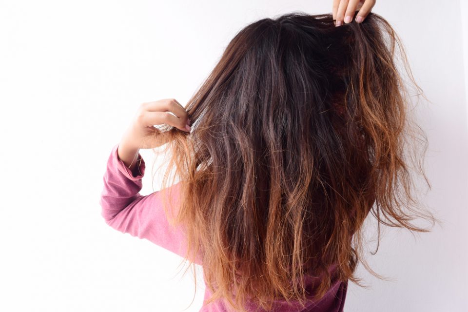 Huevo y palta: la fórmula para restaurar tu cabello reseco