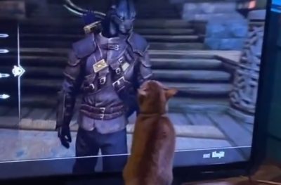 Video | Un gato enfrentó al villano de un videojuego y se viralizó en las redes