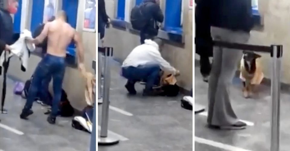 Video | Un hombre le regaló su remera a un perro que moría de frío