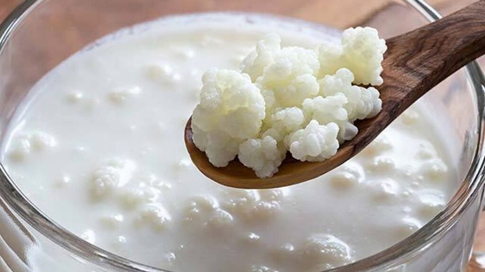 Kéfir, la receta más sencilla para preparar esta bebida (es exquisita)