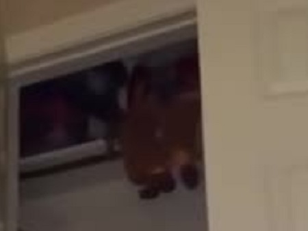 Grabaron el instante en que un muñeco se “movió” solo en el armario