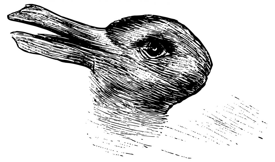 Reto viral: ¿qué ves primero, un cuervo o un conejo?