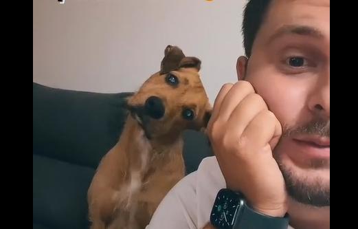 La tierna reacción de un perro cuando su dueño dice las “palabras clave”