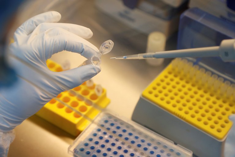 Coronavirus: dudas de la OMS con respecto al éxito de la vacuna rusa