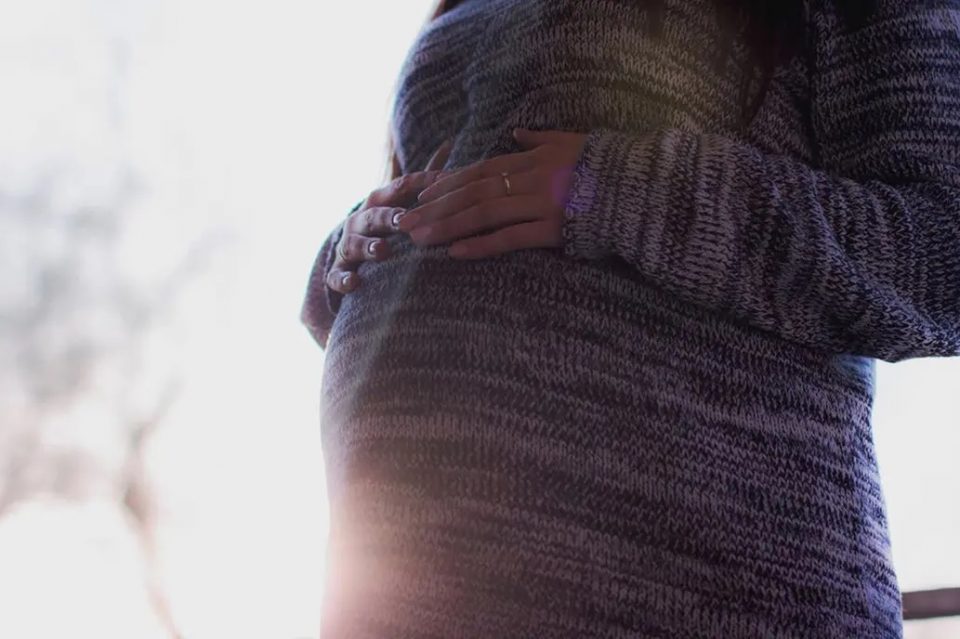ANSES: fechas de cobro para octubre de la AUE, Prenatal y Maternidad