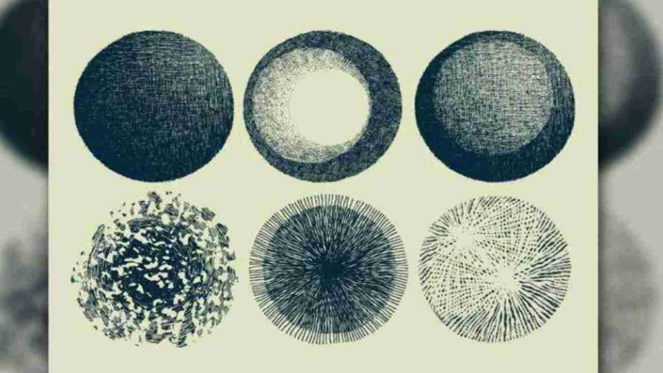 ¿Qué círculo elegís?: el test psicológico que descubre cómo sos en el amor