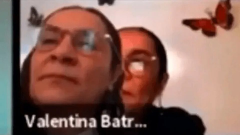 Escracharon a una diputada que simulaba participar de una sesión virtual con una foto