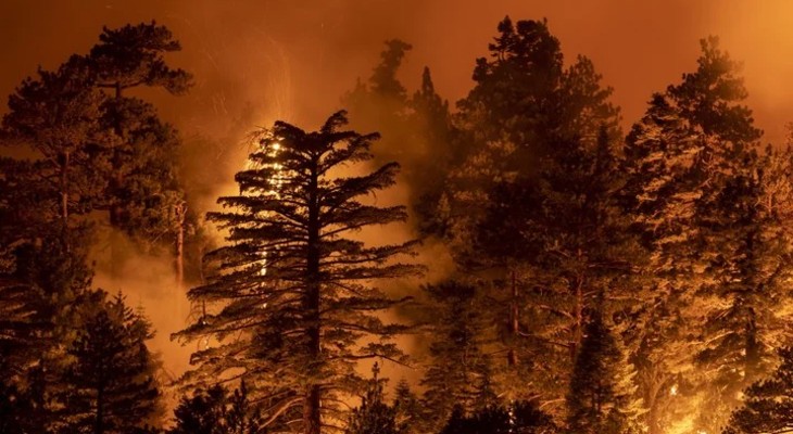 Se multiplican los focos de incendios en Córdoba y hay preocupación