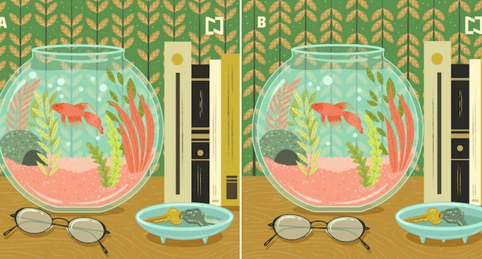 Reto viral: encontrar las nueve diferencias entre dos peceras (hacés agua)