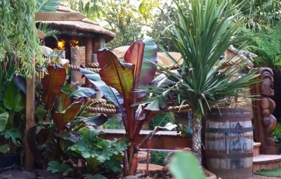 Video | Su perro no puede salir a la calle y le creó un “paraíso tropical” en el patio de su casa