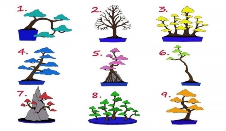 ¿Qué árbol elegís?: el test que determina qué trabajo es el ideal para vos