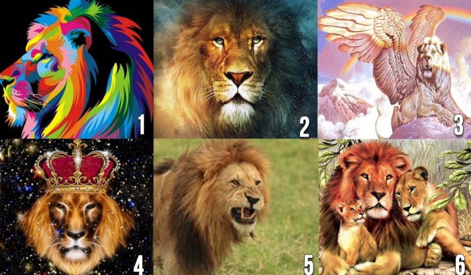 “¿Qué león elegís?”: el test que revela qué tipo de pareja necesitás