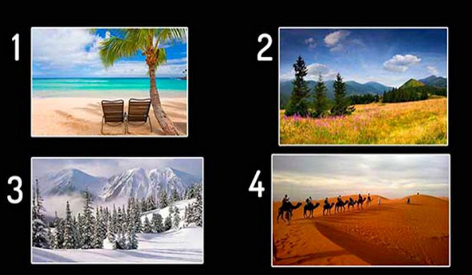 “¿Qué paisaje elegís?”: el test que revela aspectos de tu personalidad (no falla)