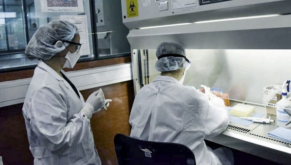 Coronavirus: confirmaron 16.447 casos en las últimas 24 horas