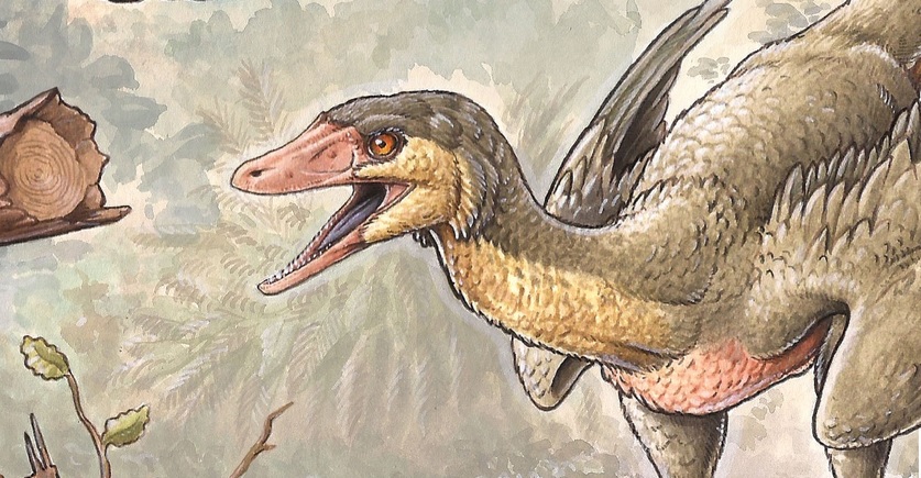 Encontraron los restos de un dinosaurio que se asemeja a un enorme loro