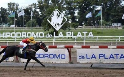 El Gobierno autorizó la actividad hípica en Hipódromos de la Provincia