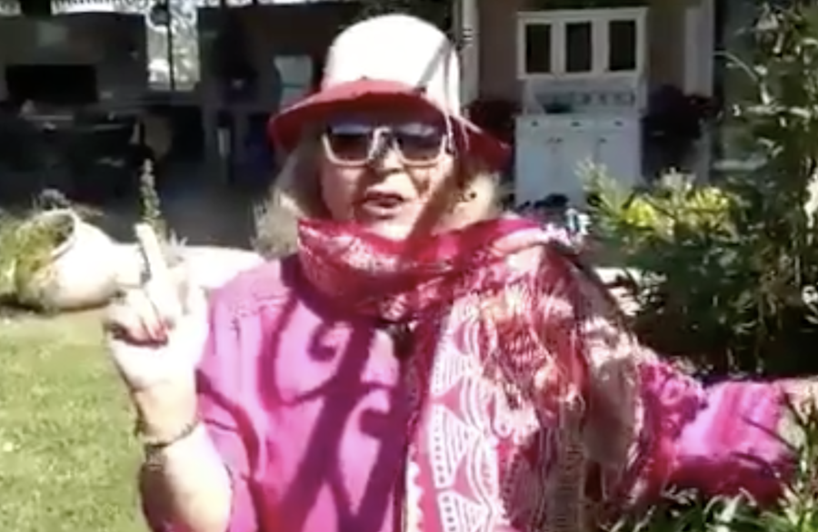 Elisa Carrió le respondió a los senadores que la trataron de “gorda”: “Los machos feos no se pueden curar”