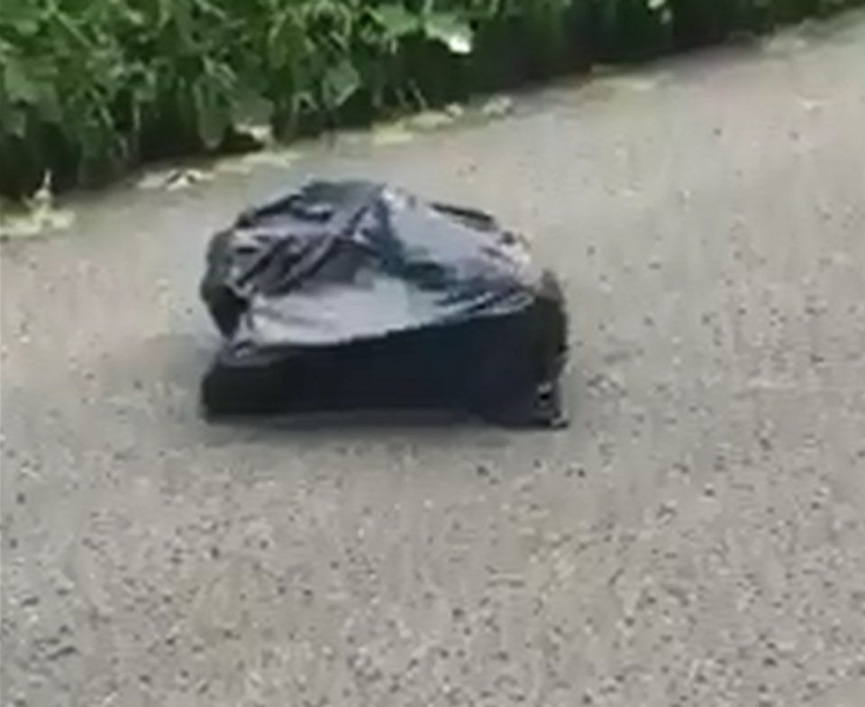 Frenó en medio de la ruta al ver una bolsa que se movía: “Algo estaba vivo adentro”