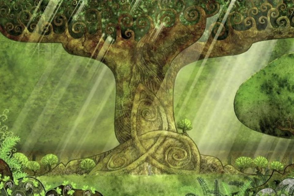Dime tu fecha de nacimiento y te diré bajo qué árbol naciste