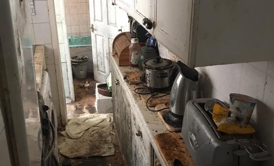 Ordenaron una casa que estuvo 12 años sin limpiarse: así fue el antes y el después