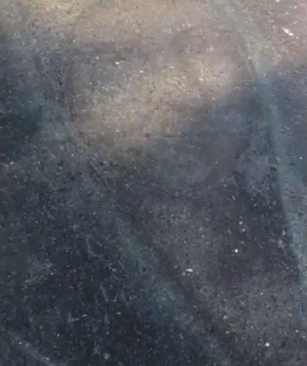 Apareció la imagen de la virgen en un charco de agua
