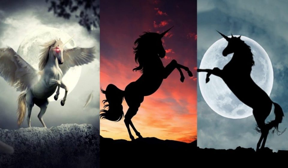 Elegí un unicornio y descubrí aspectos de vos mismo (que seguro no conocías)
