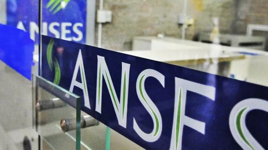 Anses: quiénes cobran la AUH, AUE y jubilación esta semana