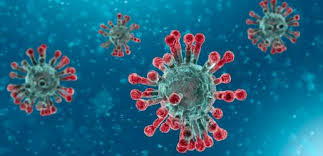 Coronavirus: revelaron cuánto dura la inmunidad a la enfermedad
