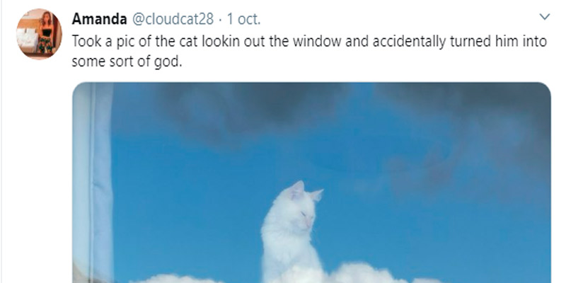 Le sacó una foto a su gato, el reflejo lo mostró sobre las nubes y se volvió viral