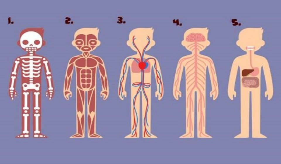 ¿Qué figura elegís?: el test psicológico que echa luz sobre lo que debés cambiar en tu vida