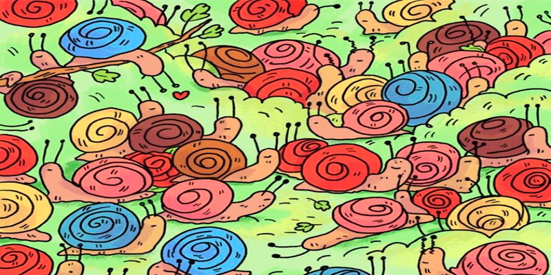 Reto viral: encontrar la rosa oculta entre los caracoles (bastante espinoso)