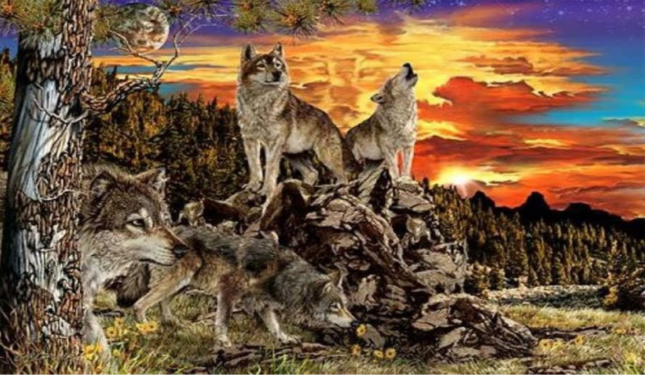 “¿Cuántos lobos ves?”: el test psicológico que descubre los aspectos más ocultos de tu personalidad