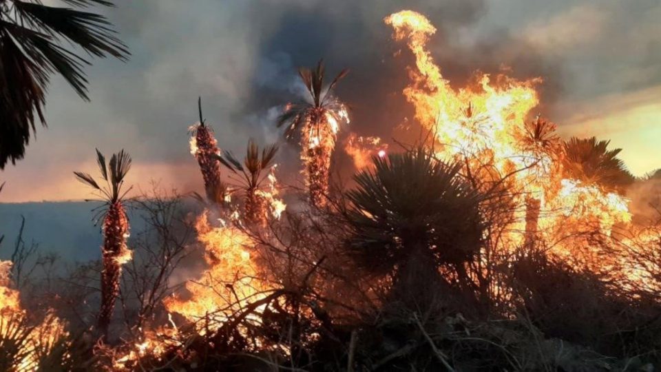 Aseguran que las sequías podrían seguir en el 2021 y advierten sobre incendios forestales