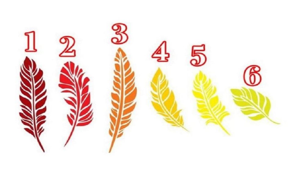 ¿Cuál pluma elegís?: el test psicológico que evalúa la calidad de tus pensamientos