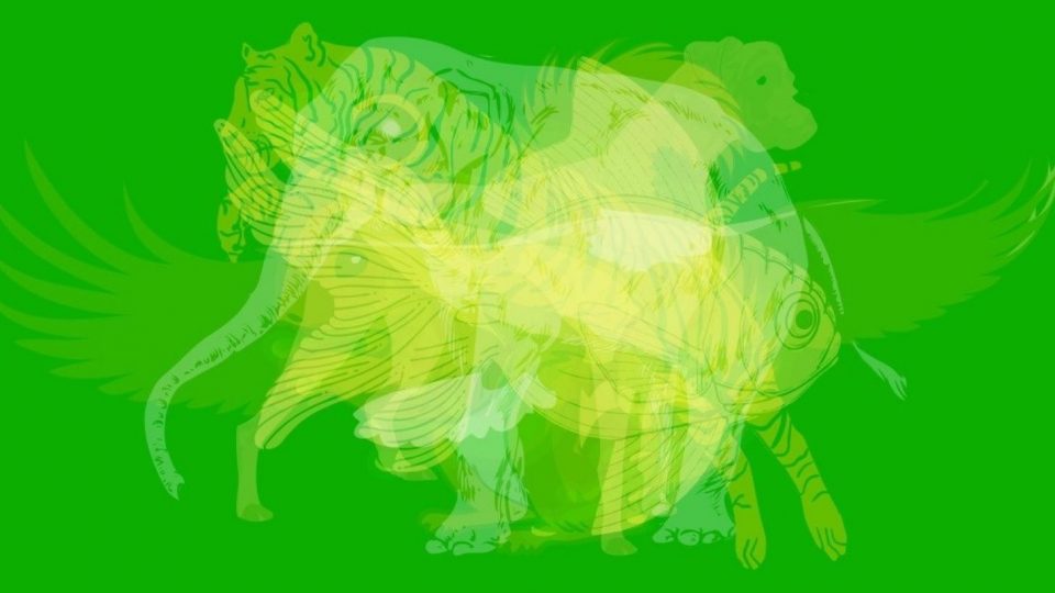 ¿Qué animal ves primero?: el test que indaga en lo profundo de tu personalidad