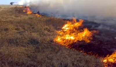 La Cámara de Diputados aprobó el proyecto que prohíbe la venta de campos incendiados