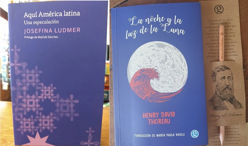 La columna literaria de Flavia Pittella: Henry Thoreau