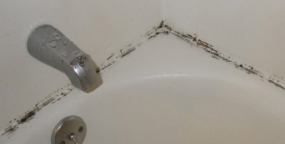 5 trucos para limpiar la bañadera en un santiamén