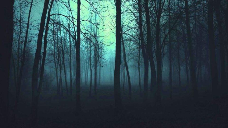 Un tenebroso “fantasma” apareció en medio del bosque y lo filmaron